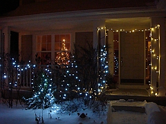 016 A2 Snowfall & Trees [2008 Dec 20]